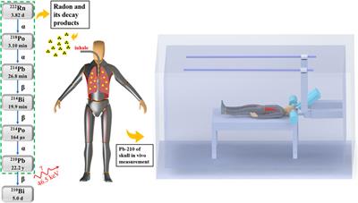Minimum Detectable Activity of Pb-210 in Skull From In vivo Measurements: Insights From the Literature